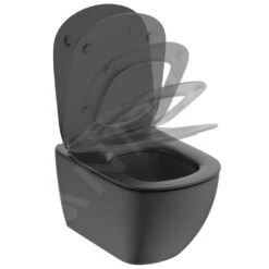 Ideal Standard Tesi - Wc Bril SoftClose, Zwart T3529V3 -Ideal Standard Verkoopwinkel aeafd37f5b7ffbe067b6cb4c 1